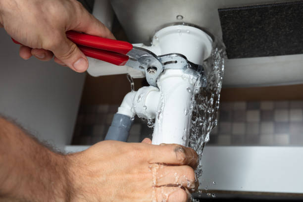 Best Professional water damage repair  in Muncie, IN