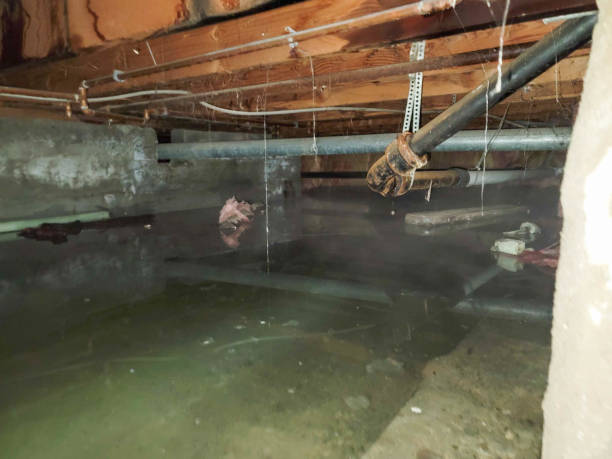 Best Emergency water damage restoration  in Muncie, IN