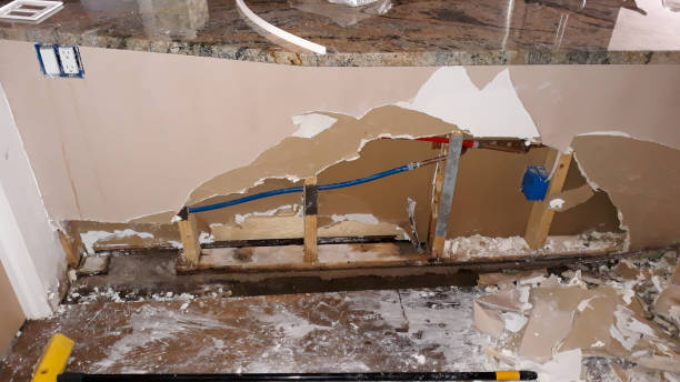 Best Flooded house restoration  in Muncie, IN