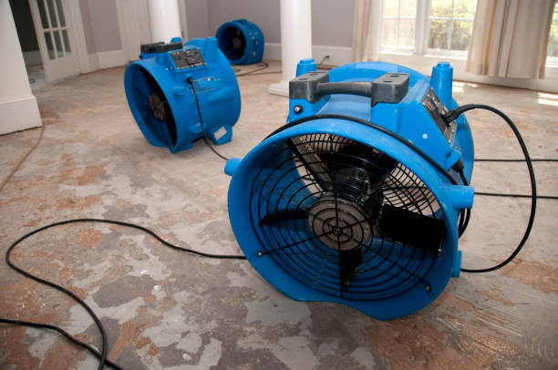 Best Basement water damage restoration  in Muncie, IN