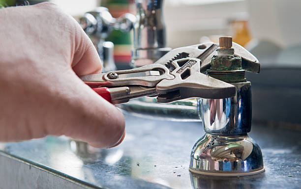Best Flood damage cleanup  in Muncie, IN