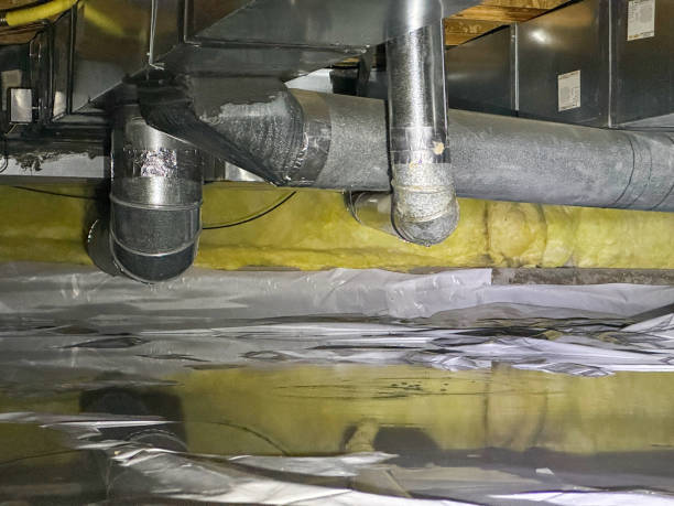 Best Mold removal after water damage  in Muncie, IN