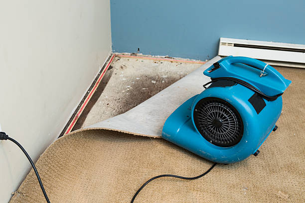 Best Water damage restoration near me  in Muncie, IN
